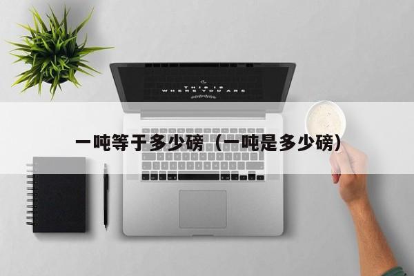一吨等于多少磅（一吨是多少磅）