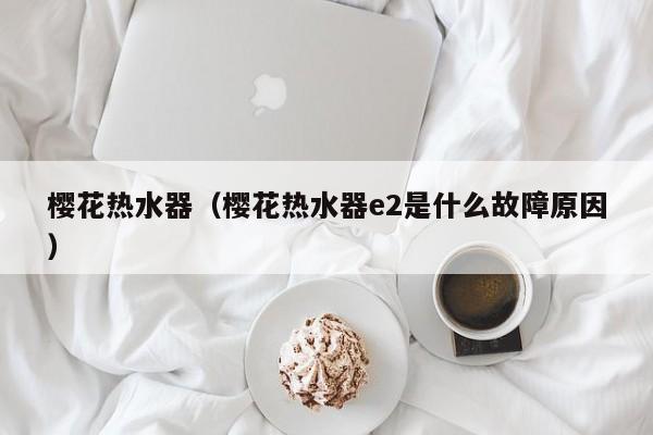 樱花热水器（樱花热水器e2是什么故障原因）