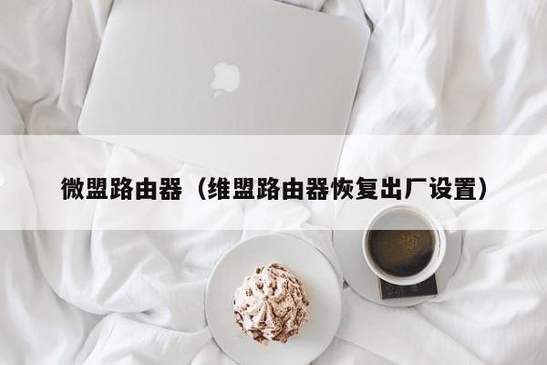 微盟路由器（维盟路由器恢复出厂设置）