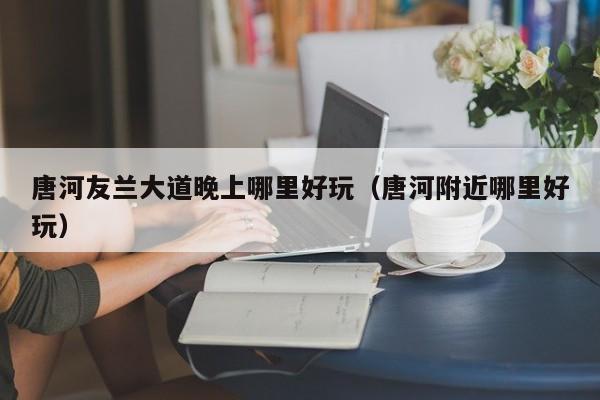 唐河友兰大道晚上哪里好玩（唐河附近哪里好玩）