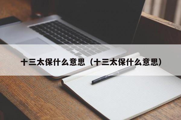 十三太保什么意思（十三太保什么意思）