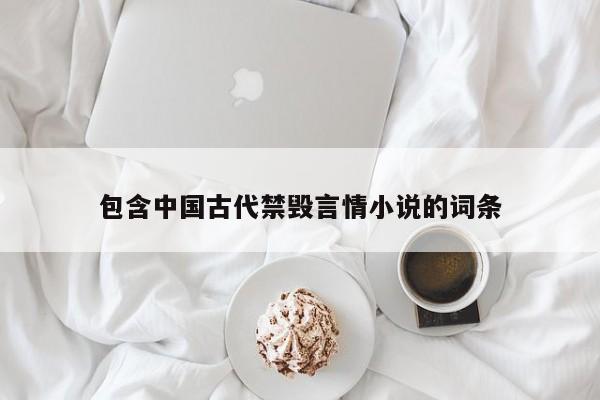 包含中国古代禁毁言情小说的词条