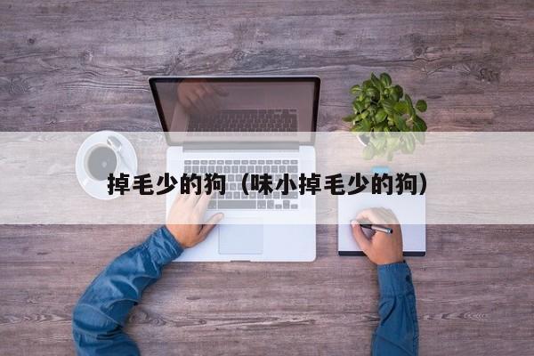 掉毛少的狗（味小掉毛少的狗）