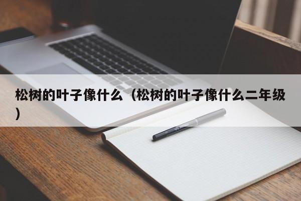 松树的叶子像什么（松树的叶子像什么二年级）