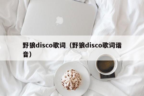 野狼disco歌词（野狼disco歌词谐音）
