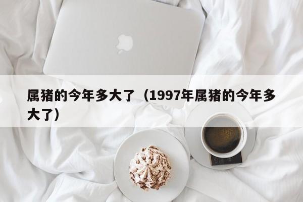 属猪的今年多大了（1997年属猪的今年多大了）