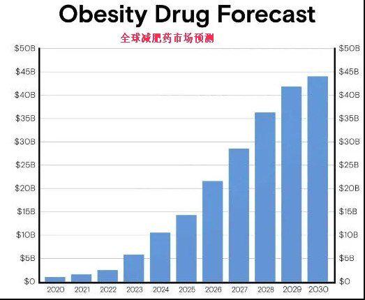 减肥药蓝海市场才刚起步？高盛：2030年价值将再翻9倍