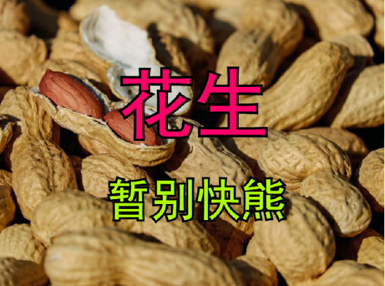 【中粮视点】花生：暂别快熊