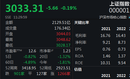 蓝筹低迷题材活跃，沪指调整巩固3000点关口