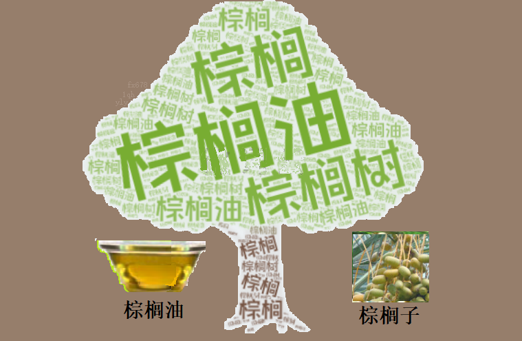 马棕榈油因产量低、中国对豆油的强劲需求而扩大涨幅