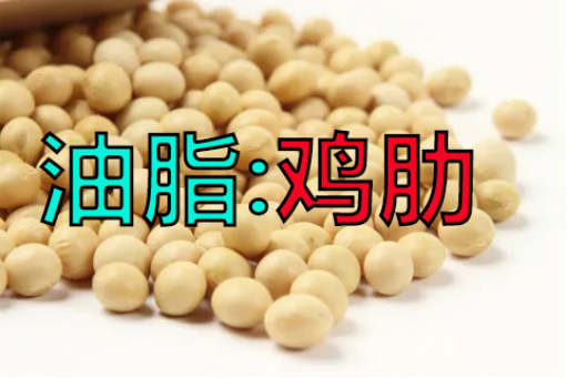 【中粮视点】油脂：鸡肋